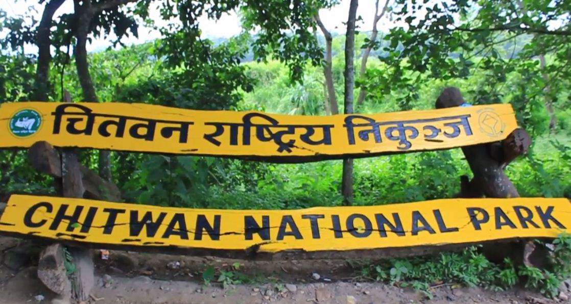 चितवन राष्ट्रिय निकुञ्जमा २ गैँडा मृत भेटिए