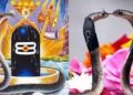 आज नागपञ्चमी, किन गरिन्छ नागको पूजा ?