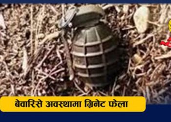 पशुपति नजिकै तीन थान ग्रिनेट फेला