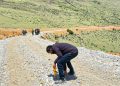 ढोरपाटन–निसेलढोर ६ किलोमिटर सडक कालोपत्र