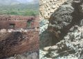 बागलुङको निसेलढोरमा आगलागी : घरसहित ७ पशुचौपाय जलेर नष्ट