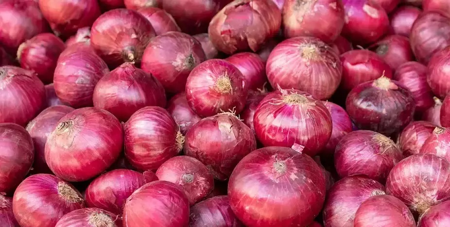 सुकेको प्याजको मूल्य घट्यो