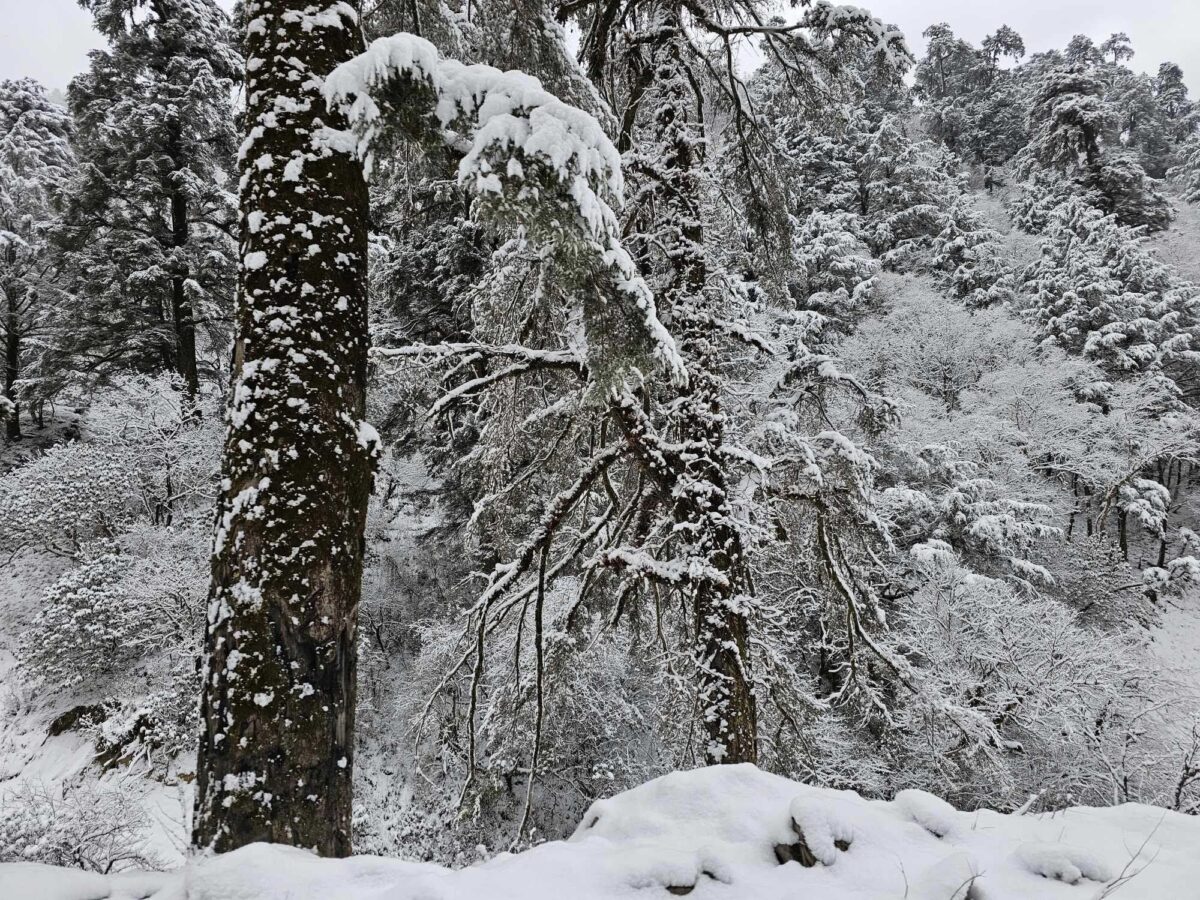 यी प्रदेशमा वर्षा र हिमपातको अनुमान