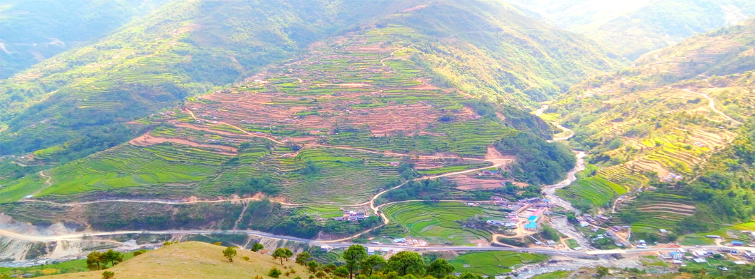 ढोरपाटनको पाखुट्टेदेखि बायखोला–झिम्पा जोड्ने सडक स्तरोन्नति