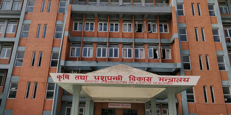 कृषि मन्त्रालय भन्छ : ४३ हजार मेट्रिक टन मल मौज्दात छ