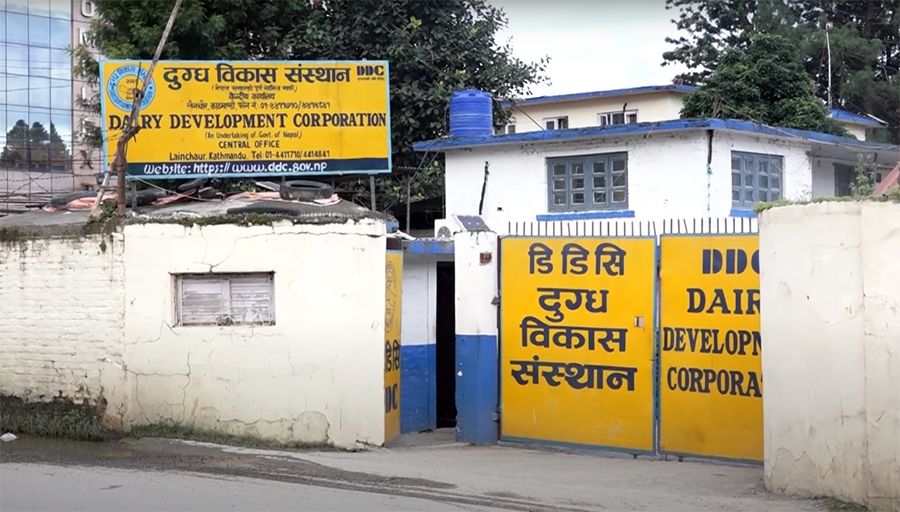 दुग्ध विकास संस्थानले तिर्यो ३१ वर्षको सम्पत्ति कर