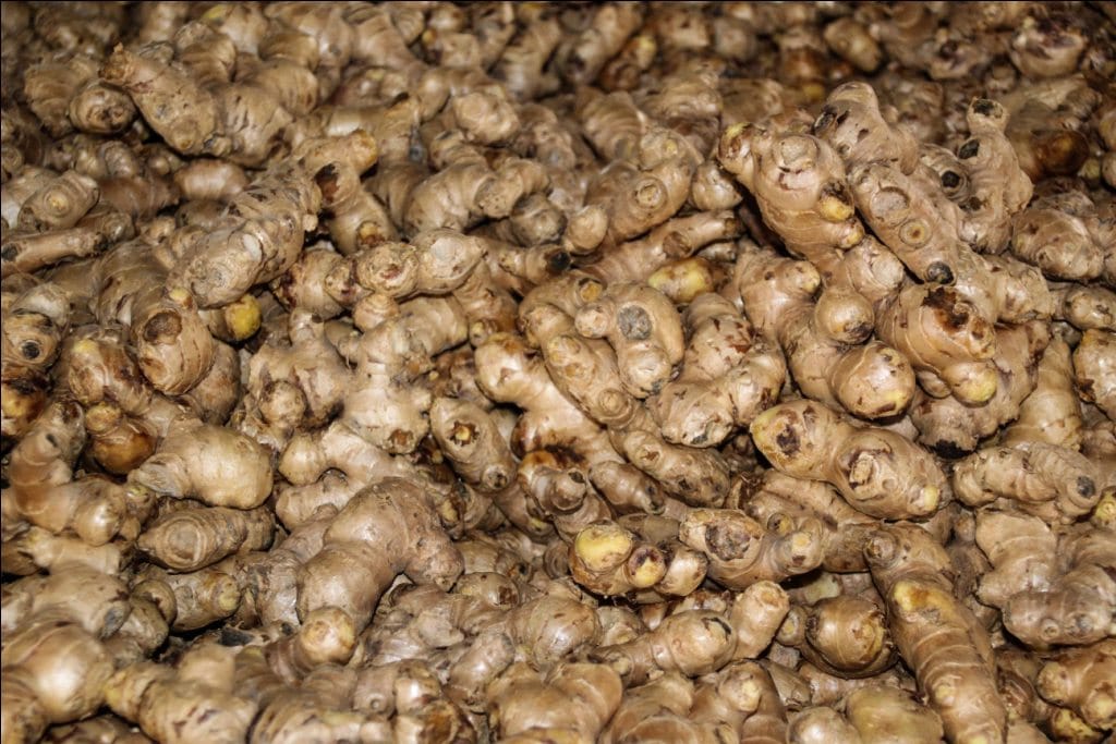 एउटै पालिकाबाट ६ करोडको अदुवा बिक्री