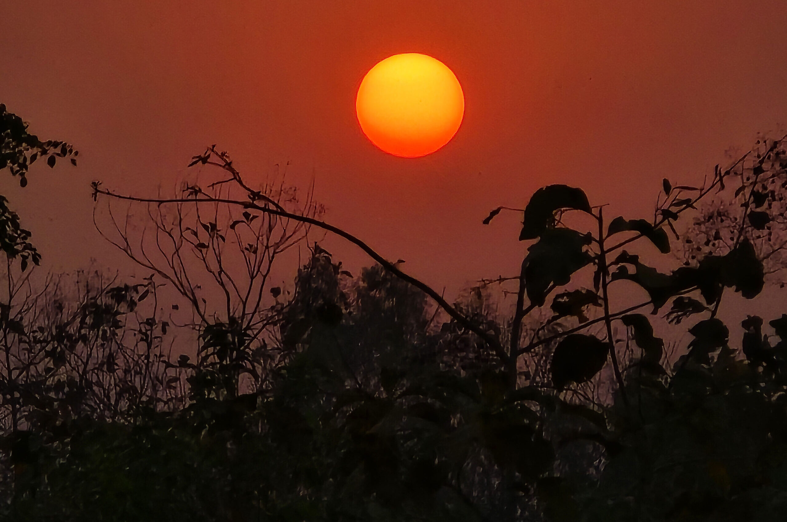 आजदेखि नववर्ष २०८२ प्रारम्भ