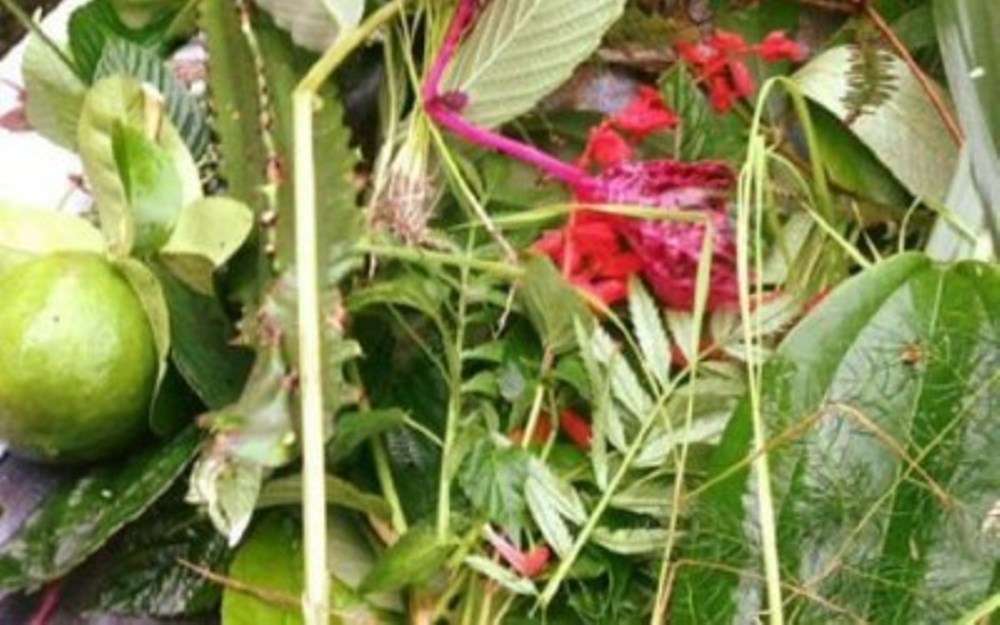 साउन १ः कर्कट (साउने) सङ्क्रान्ति पर्व
