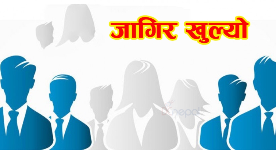 ४६ जना इन्जिनियरलाई रोजगारीको अवसर