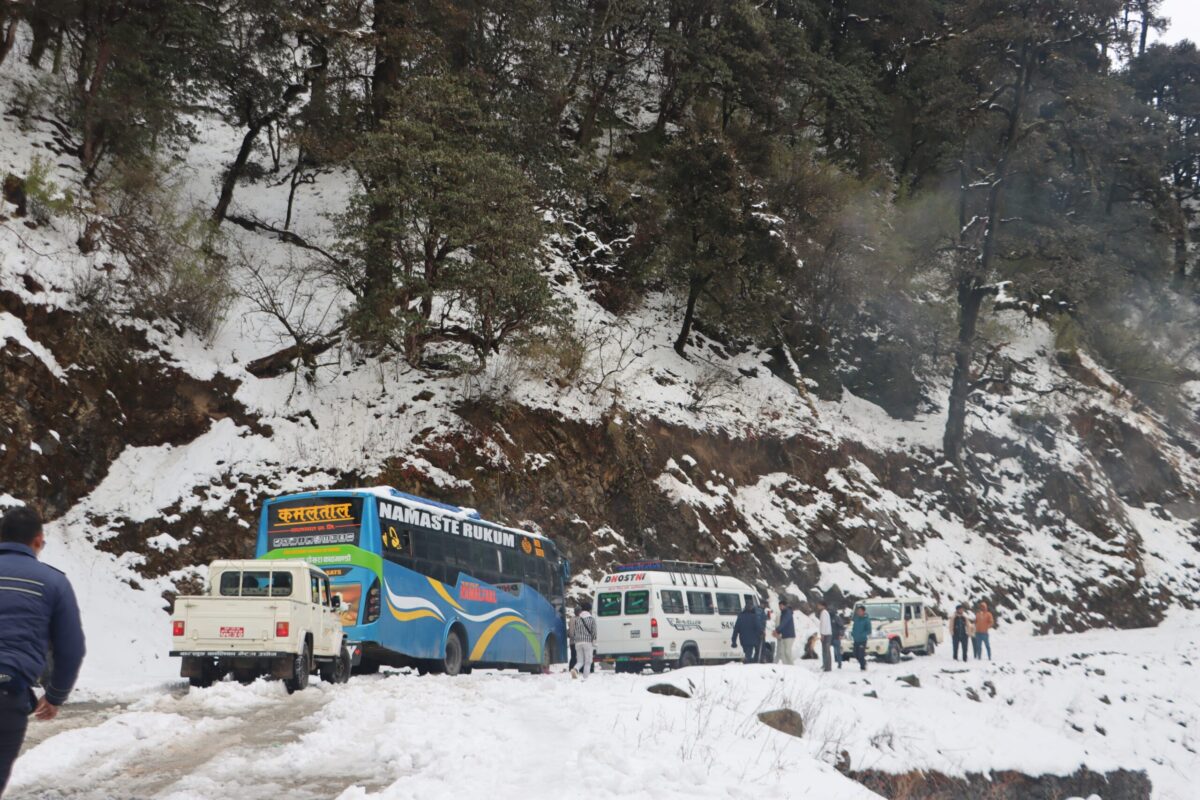 पातिहाल्ने हिउँमा फसेका २५० यात्रुको उद्धार