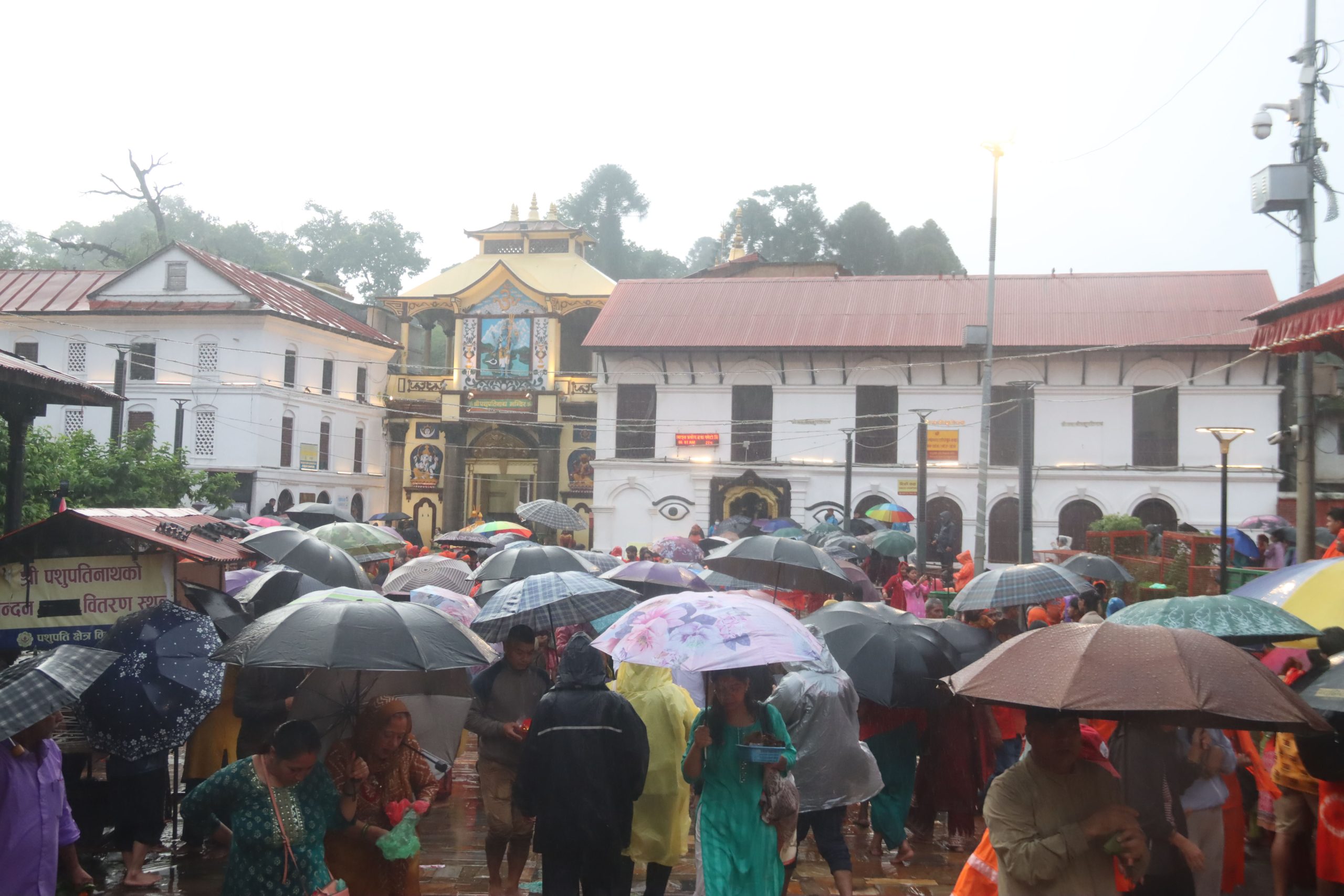 साउनको अन्तिम सोमबार : पशुपतिनाथमा दर्शनार्थीको ओइरो