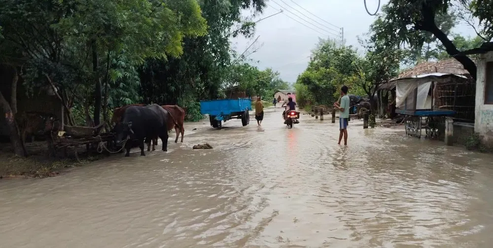 सप्तरीका ५०० घर डुबानमा